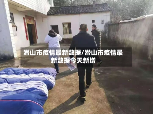 潜山市疫情最新数据/潜山市疫情最新数据今天新增-第2张图片