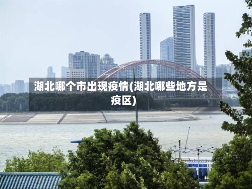 湖北哪个市出现疫情(湖北哪些地方是疫区)