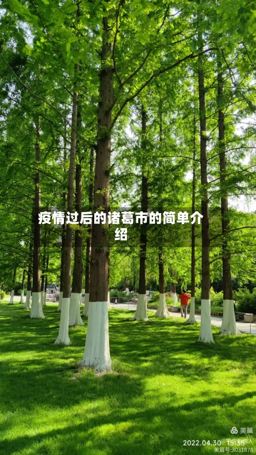 疫情过后的诸葛市的简单介绍