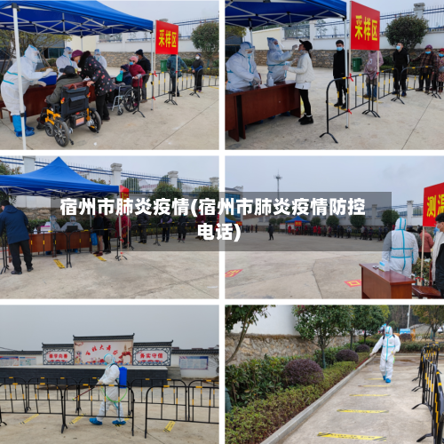 宿州市肺炎疫情(宿州市肺炎疫情防控电话)-第3张图片