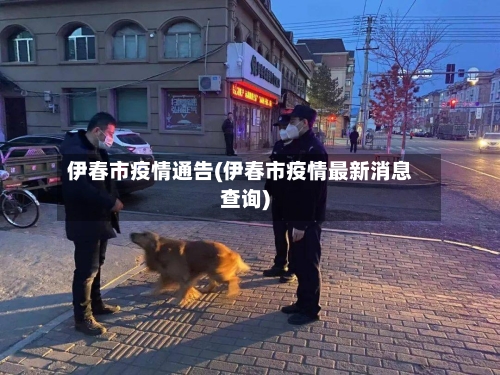 伊春市疫情通告(伊春市疫情最新消息查询)