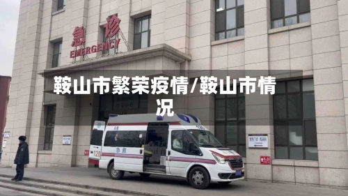 鞍山市繁荣疫情/鞍山市情况