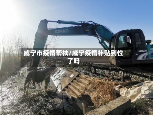 咸宁市疫情帮扶/咸宁疫情补贴到位了吗