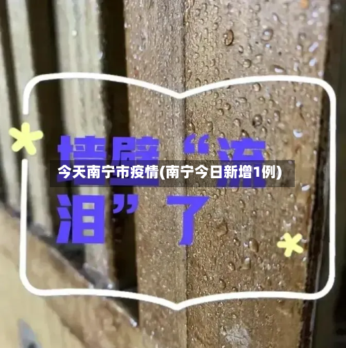 今天南宁市疫情(南宁今日新增1例)-第3张图片