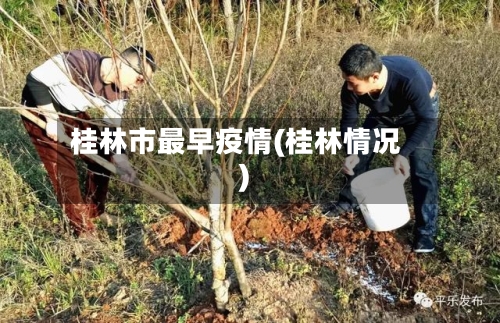 桂林市最早疫情(桂林情况)