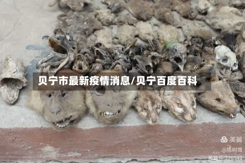 贝宁市最新疫情消息/贝宁百度百科-第2张图片