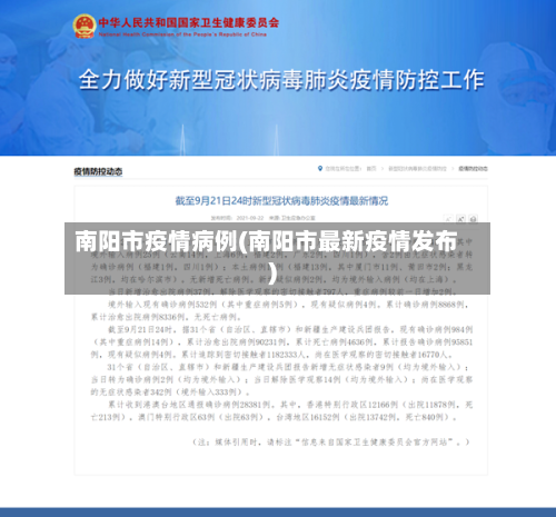 南阳市疫情病例(南阳市最新疫情发布)-第2张图片