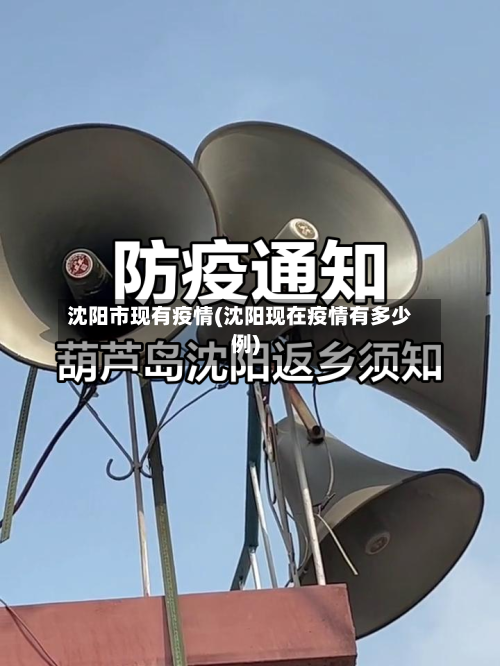 沈阳市现有疫情(沈阳现在疫情有多少例)-第2张图片