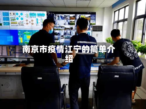 南京市疫情江宁的简单介绍-第3张图片