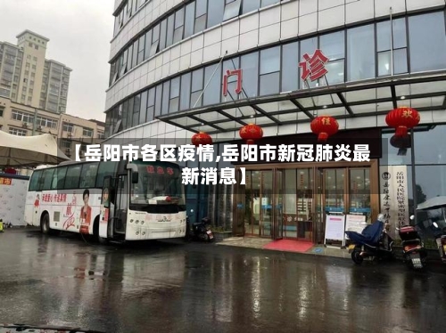 【岳阳市各区疫情,岳阳市新冠肺炎最新消息】-第2张图片