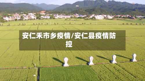 安仁禾市乡疫情/安仁县疫情防控-第2张图片