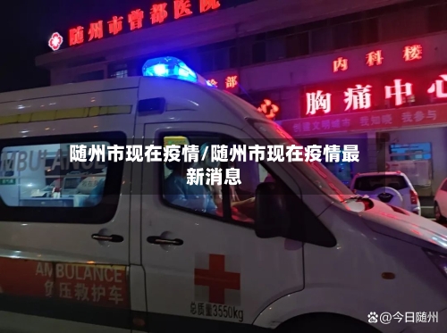 随州市现在疫情/随州市现在疫情最新消息