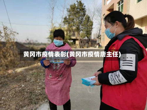 黄冈市疫情表彰(黄冈市疫情唐主任)-第3张图片