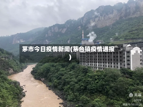 茅市今日疫情新闻(茅台镇疫情通报)