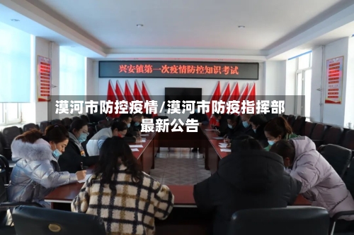 漠河市防控疫情/漠河市防疫指挥部最新公告-第2张图片