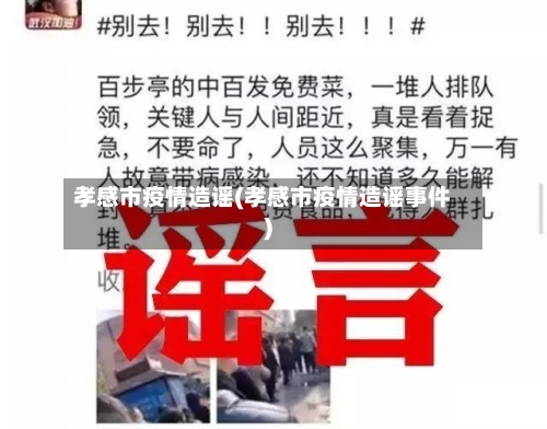 孝感市疫情造谣(孝感市疫情造谣事件)