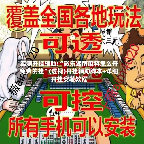 实测开挂辅助:“微乐湖南麻将怎么开免费的挂”(透视)开挂辅助脚本+详细开挂安装教程-第2张图片