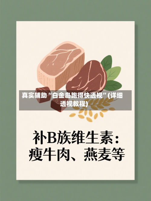 真实辅助“白金岛跑得快透视”(详细透视教程)