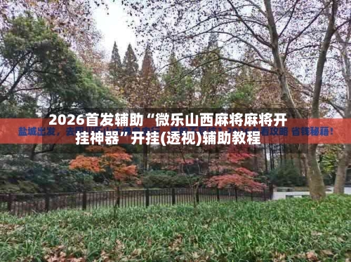 2026首发辅助“微乐山西麻将麻将开挂神器	”开挂(透视)辅助教程-第2张图片