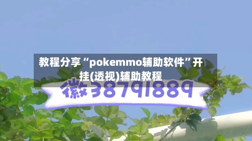 教程分享“pokemmo辅助软件”开挂(透视)辅助教程-第2张图片
