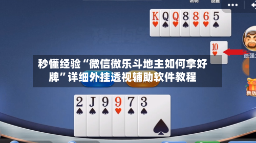秒懂经验“微信微乐斗地主如何拿好牌”详细外挂透视辅助软件教程-第2张图片
