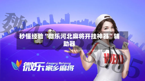 秒懂经验“微乐河北麻将开挂神器”辅助器-第2张图片