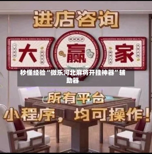 秒懂经验“微乐河北麻将开挂神器	”辅助器-第3张图片