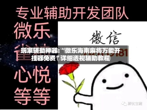 玩家辅助神器:“微乐海南麻将万能开挂器免费”详细透视辅助教程-第2张图片