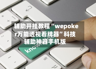 辅助开挂教程“wepoker万能透视看牌器”科技辅助神器手机版-第2张图片
