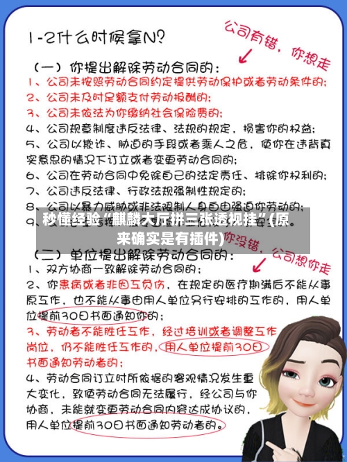 秒懂经验“麒麟大厅拼三张透视挂”(原来确实是有插件)
