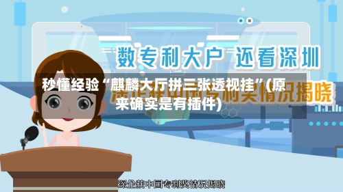 秒懂经验“麒麟大厅拼三张透视挂	”(原来确实是有插件)-第3张图片