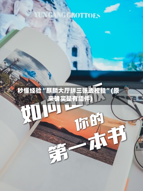 秒懂经验“麒麟大厅拼三张透视挂”(原来确实是有插件)-第2张图片