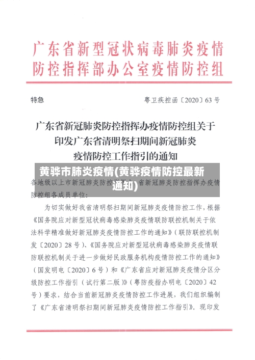 黄骅市肺炎疫情(黄骅疫情防控最新通知)-第3张图片