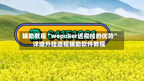 辅助教程“wepoker透视挂的优势	”详细外挂透视辅助软件教程-第2张图片