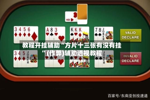 教程开挂辅助“方片十三张有没有挂”(作弊)辅助透视教程-第3张图片