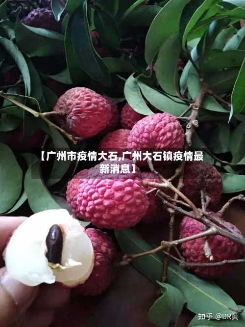 【广州市疫情大石,广州大石镇疫情最新消息】