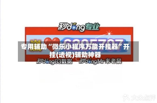 专用辅助“微乐小程序万能开挂器”开挂(透视)辅助神器-第2张图片