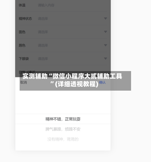 实测辅助“微信小程序大贰辅助工具”(详细透视教程)