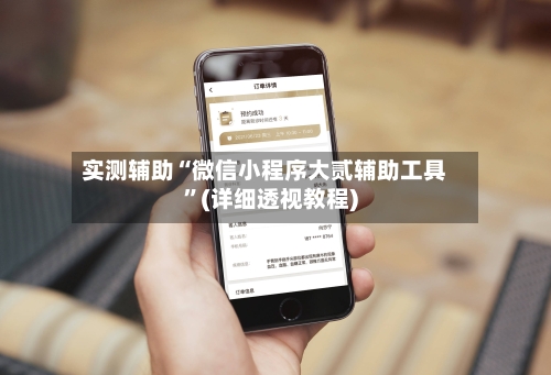 实测辅助“微信小程序大贰辅助工具	”(详细透视教程)-第3张图片