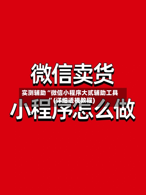 实测辅助“微信小程序大贰辅助工具”(详细透视教程)-第2张图片