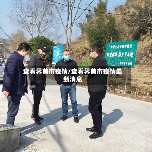查看界首市疫情/查看界首市疫情最新消息