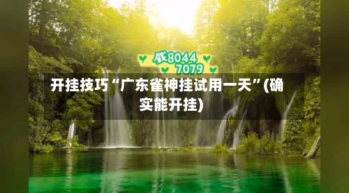 开挂技巧“广东雀神挂试用一天”(确实能开挂)-第2张图片