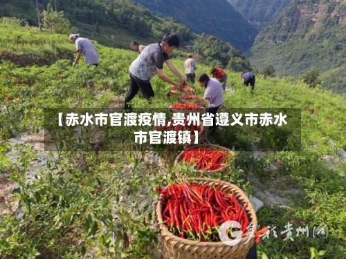 【赤水市官渡疫情,贵州省遵义市赤水市官渡镇】-第2张图片