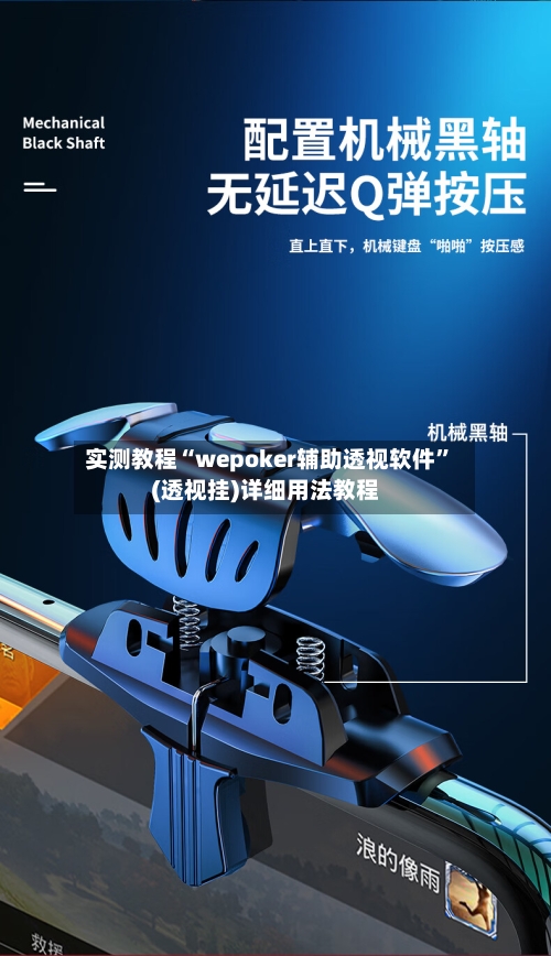 实测教程“wepoker辅助透视软件”(透视挂)详细用法教程-第2张图片