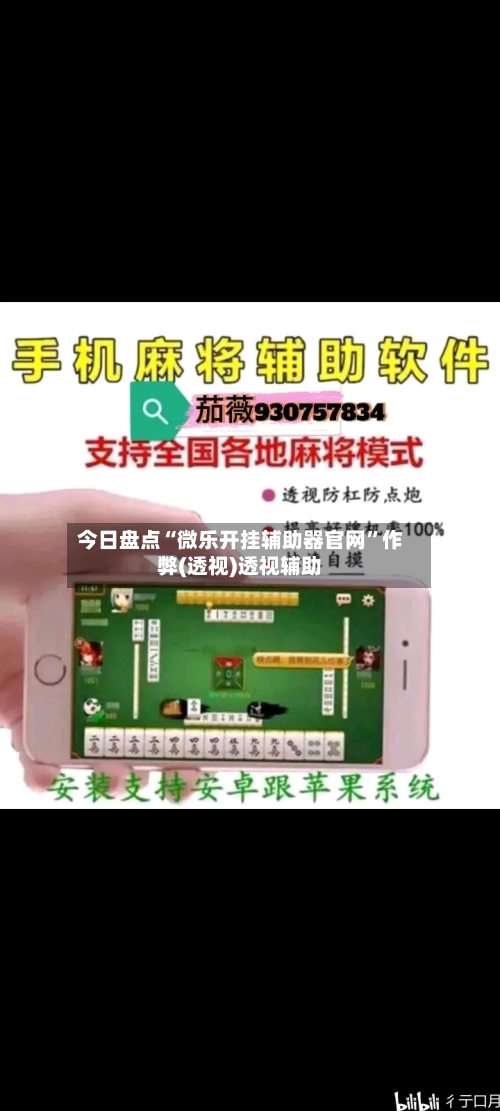 今日盘点“微乐开挂辅助器官网”作弊(透视)透视辅助