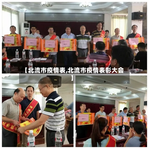 【北流市疫情表,北流市疫情表彰大会】