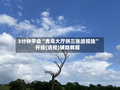 3分钟学会“青鸟大厅拼三张透视挂”开挂(透视)辅助教程-第2张图片