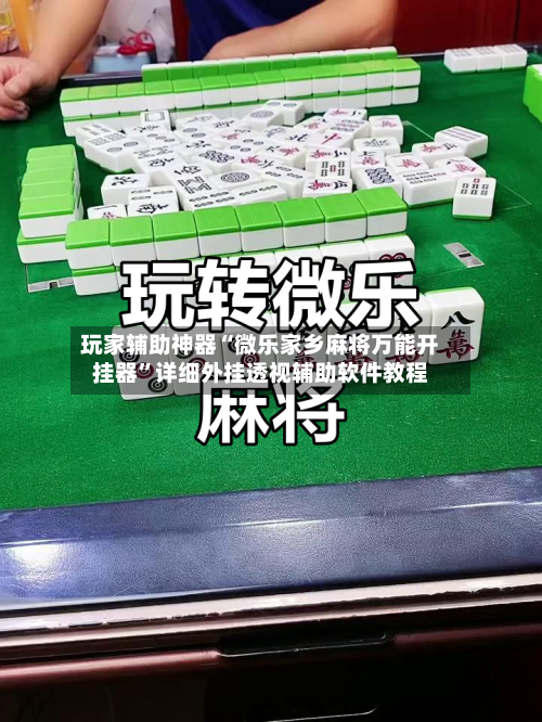 玩家辅助神器“微乐家乡麻将万能开挂器”详细外挂透视辅助软件教程-第3张图片