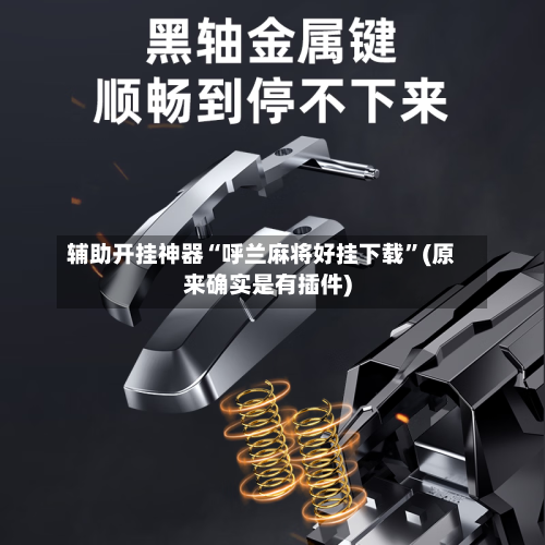 辅助开挂神器“呼兰麻将好挂下载”(原来确实是有插件)-第3张图片