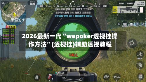 2026最新一代“wepoker透视挂操作方法”(透视挂)辅助透视教程-第3张图片